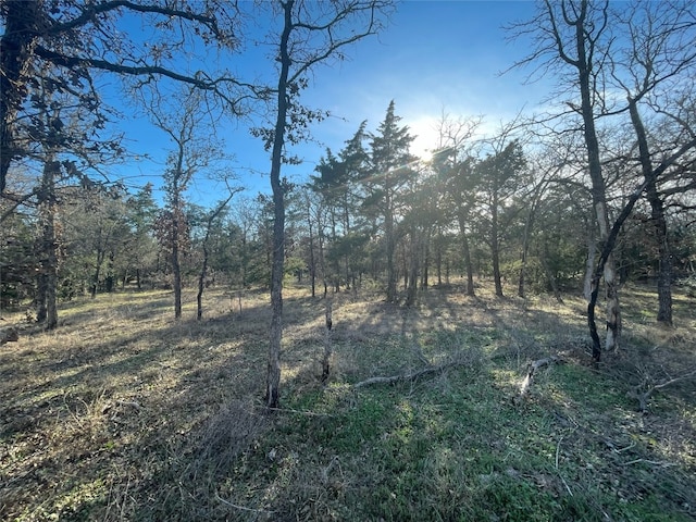 Listing photo 2 for 1698 Sandy Creek Rd, Red Rock TX 78616