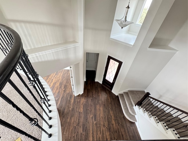 entryway with dark hardwood / wood-style flooring