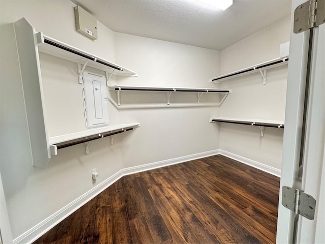 walk in closet with dark wood-type flooring and electric panel