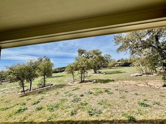 101 Gabwood Ct, Georgetown, TX 78633 - view of grassy yard