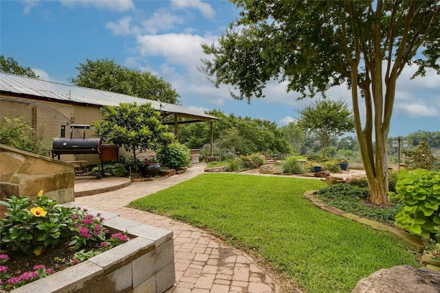 view of yard featuring a patio area