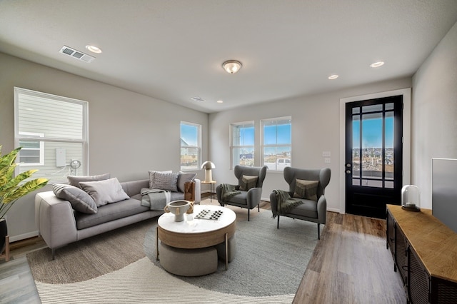 living room with hardwood / wood-style flooring