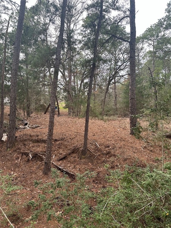 TBD Papawai Dr, Bastrop TX, 78602 land for sale