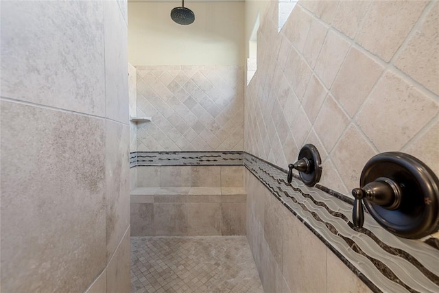 interior details with tiled shower