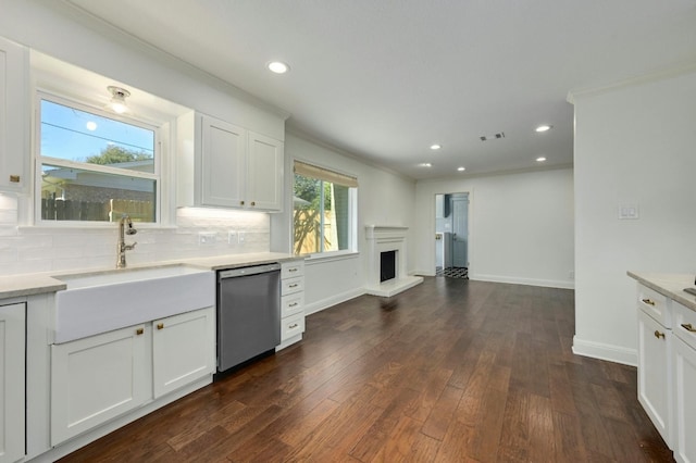 kitchen featuring stainless steel dishwasher, white cabinetry, dark hardwood / wood-style floors, and tasteful backsplash