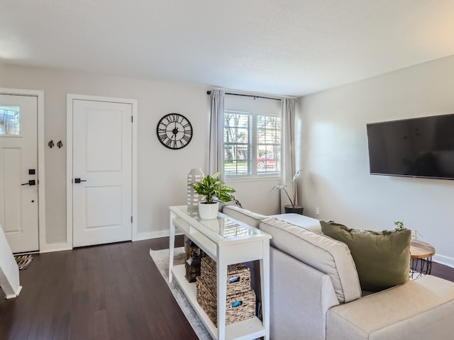 living room featuring dark wood-type flooring