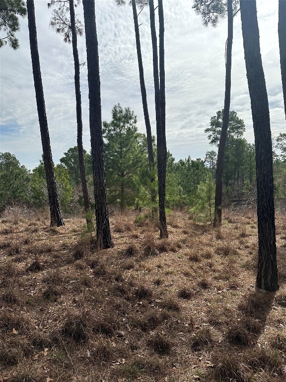 TBD Mahalo Court, Bastrop, TX 78602