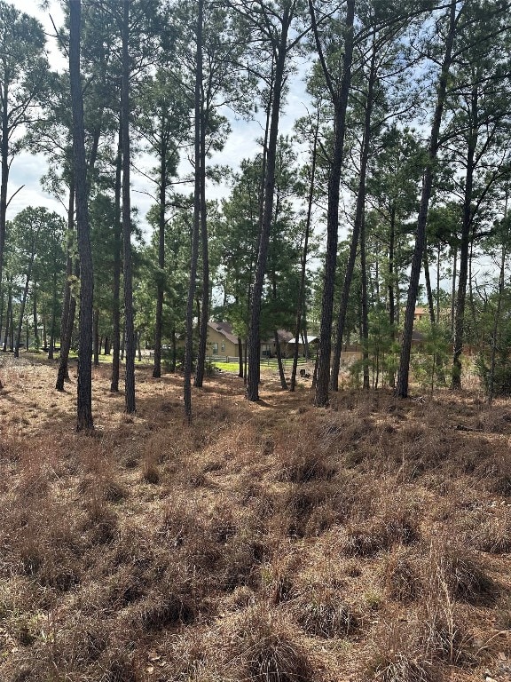 Listing photo 3 for TBD Mahalo Court, Bastrop TX 78602