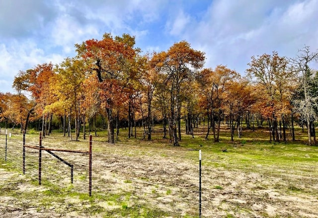 Listing photo 2 for 1194 Walleye Creek Trl, Lexington TX 78947