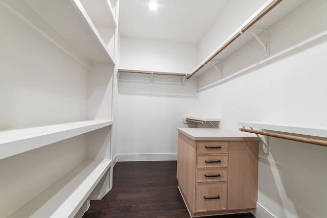 walk in closet featuring dark wood-type flooring