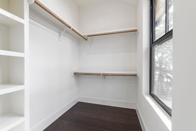 spacious closet featuring dark hardwood / wood-style floors