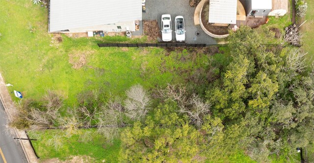 2421 S 5th St, Austin, TX 78704 - photo 19