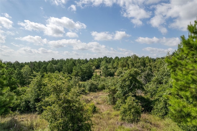 LOT122 Kelley Rd W, Bastrop TX, 78602 land for sale