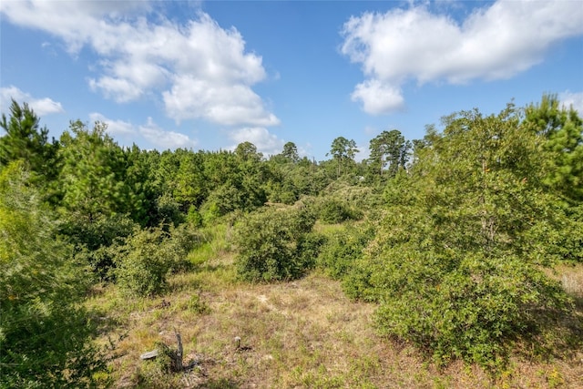 Listing photo 2 for LOT122 Kelley Rd W, Bastrop TX 78602