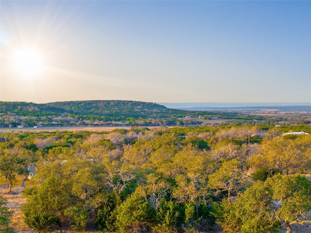 TBD County Rd 330 Road, Burnet TX, 78611 land for sale