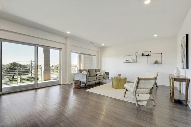 living room with dark wood-type flooring