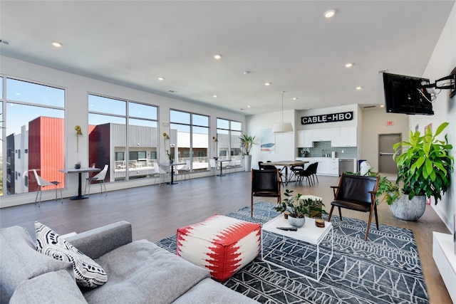 living room with dark hardwood / wood-style floors