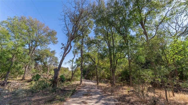 3597 Baker Rd, Kingsbury TX, 78638 land for sale