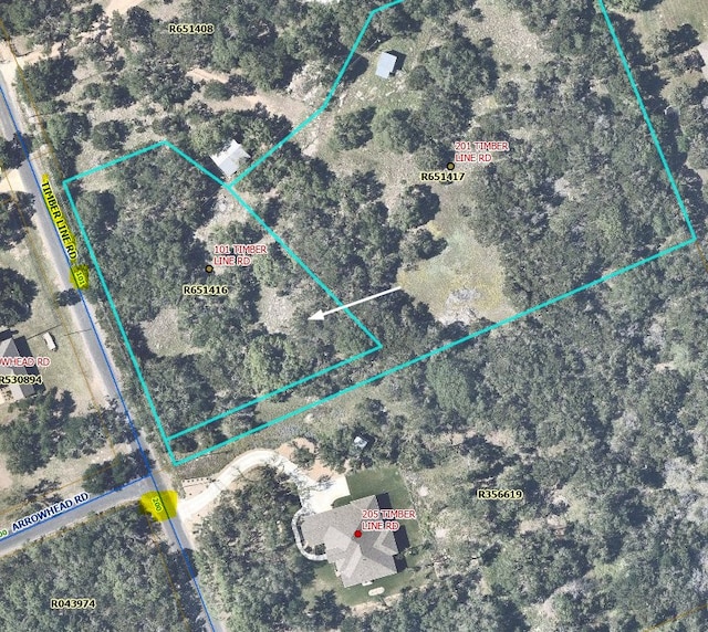 101 Timber Line Rd, Georgetown, TX 78633 - photo 2
