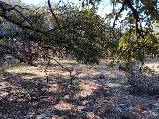 101 Timber Line Rd, Georgetown, TX 78633 - photo 16