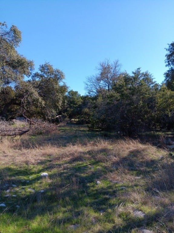 101 Timber Line Rd, Georgetown, TX 78633 - photo 12