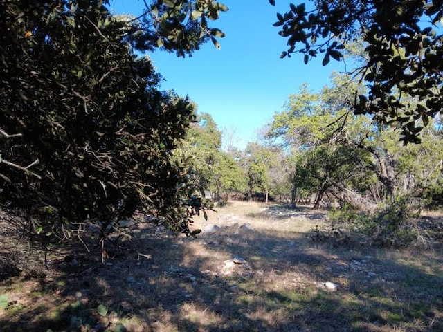 101 Timber Line Rd, Georgetown, TX 78633 - photo 7