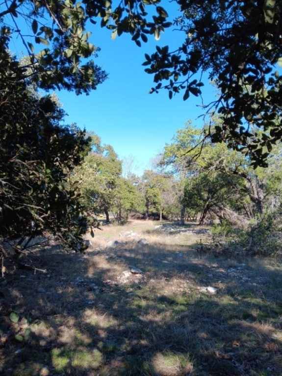 101 Timber Line Rd, Georgetown, TX 78633 - photo 5