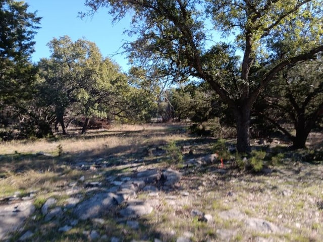 101 Timber Line Rd, Georgetown, TX 78633 - photo 6