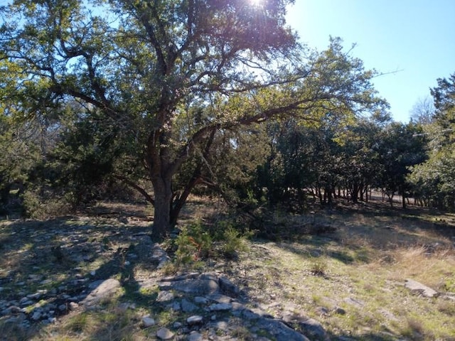 101 Timber Line Rd, Georgetown, TX 78633 - photo 4