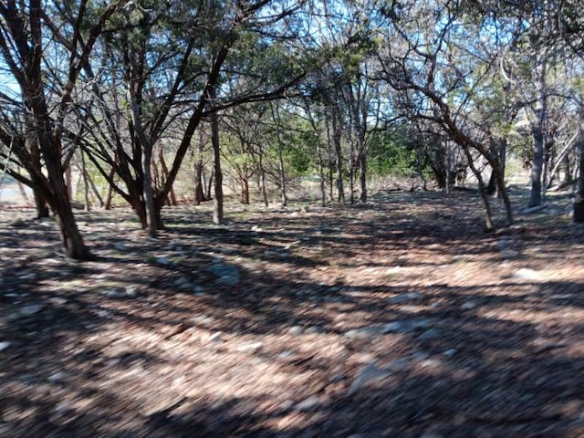 101 Timber Line Rd, Georgetown, TX 78633 - photo 13