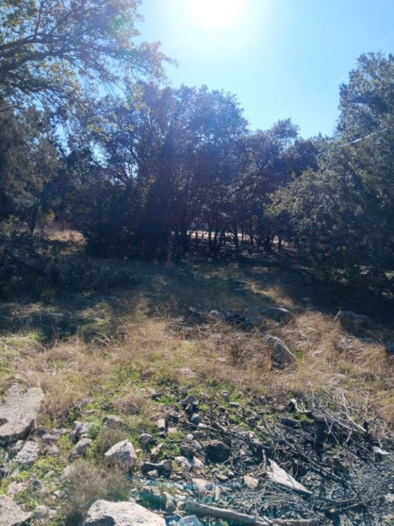 101 Timber Line Rd, Georgetown, TX 78633 - photo 14