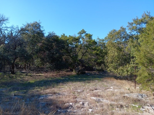 101 Timber Line Rd, Georgetown, TX 78633 - photo 11