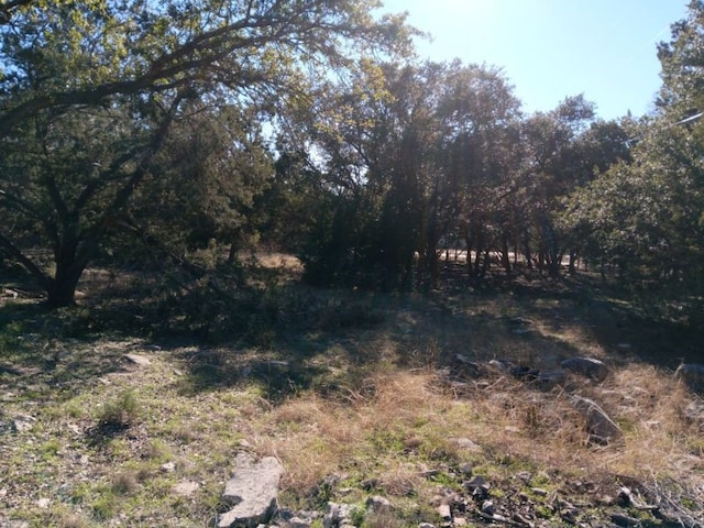 101 Timber Line Rd, Georgetown, TX 78633 - photo 3