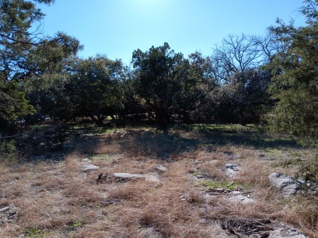 101 Timber Line Rd, Georgetown, TX 78633 - photo 10