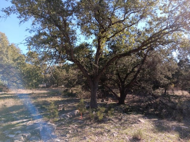 101 Timber Line Rd, Georgetown, TX 78633 - photo 15