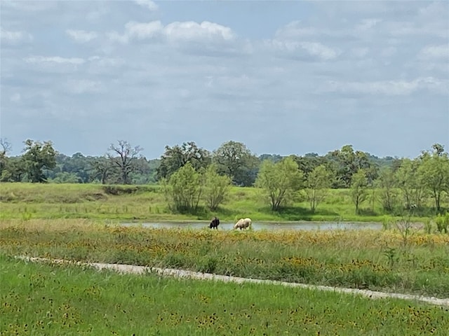 Listing photo 2 for 000 Sayers Rd Unit 1, Bastrop TX 78602