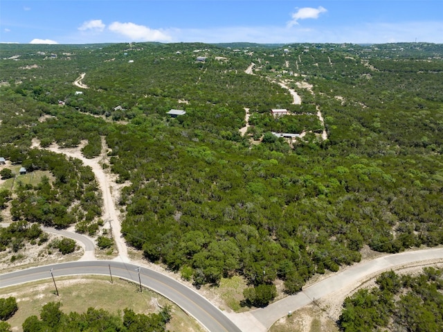 19112 Old Burnet Rd, Jonestown TX, 78645 land for sale