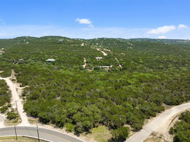 Listing photo 3 for 19112 Old Burnet Rd, Jonestown TX 78645