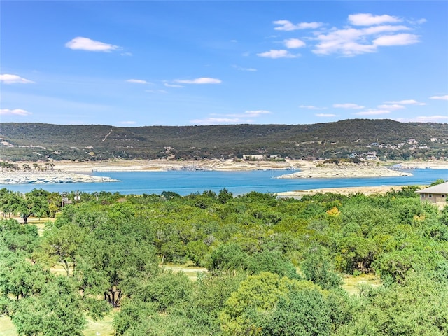 water view featuring a mountain view