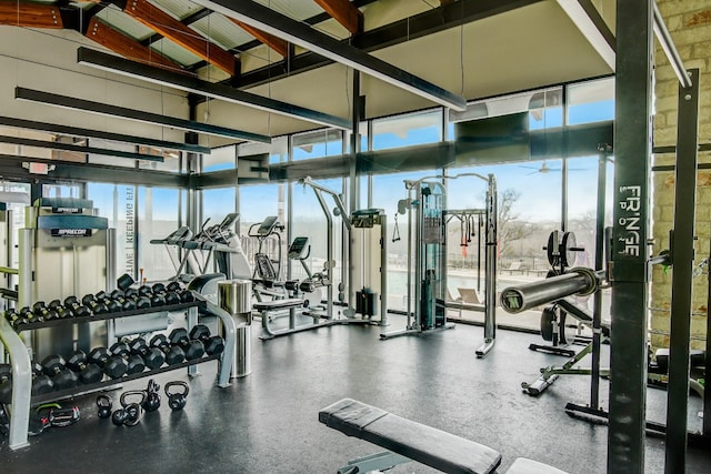 workout area with floor to ceiling windows and high vaulted ceiling