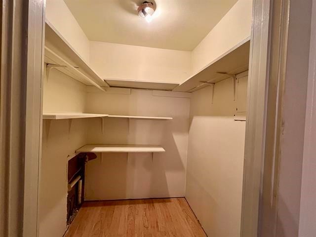 walk in closet featuring light hardwood / wood-style floors