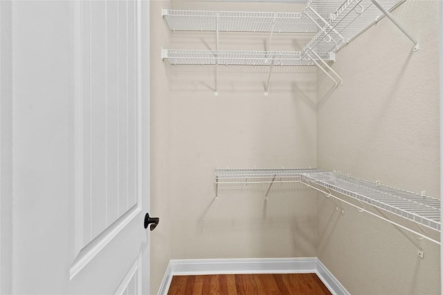 spacious closet featuring hardwood / wood-style flooring