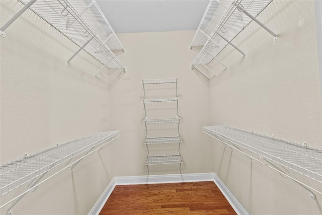 walk in closet with hardwood / wood-style floors