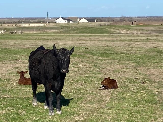 3000 County Rd 320, Granger, TX 76530 - photo 5