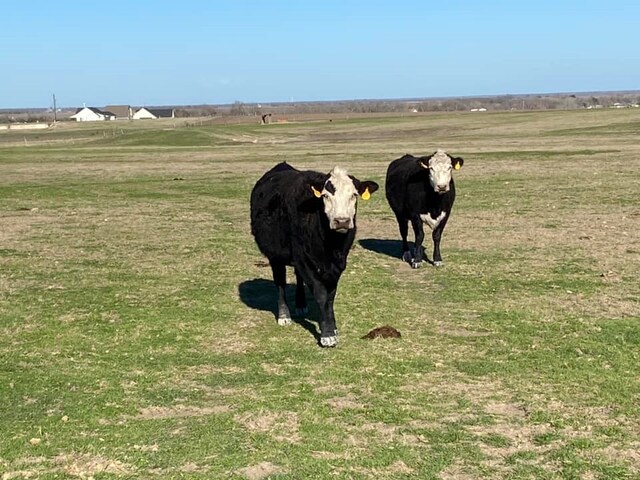 3000 County Rd 320, Granger, TX 76530 - photo 12