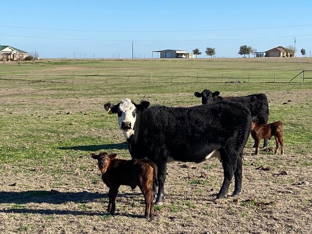 3000 County Rd 320, Granger, TX 76530 - photo 13