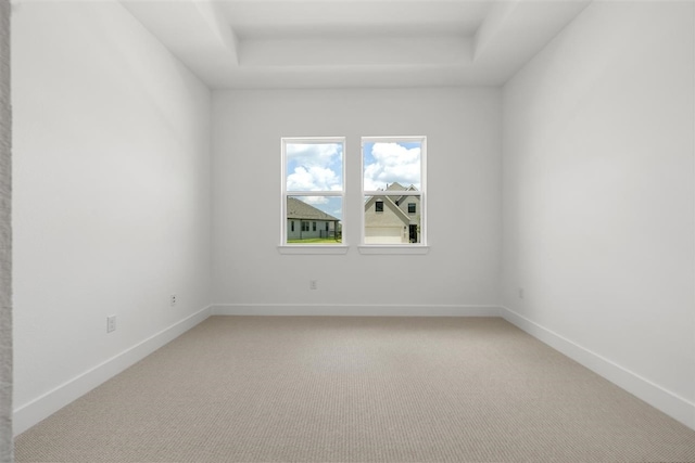 unfurnished room with light colored carpet and a raised ceiling