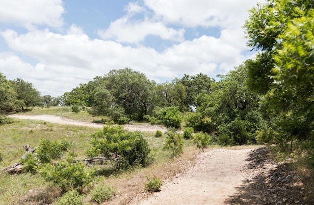 view of local wilderness