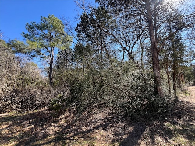 TBD Dunbar Rd, Mcdade TX, 78650 land for sale