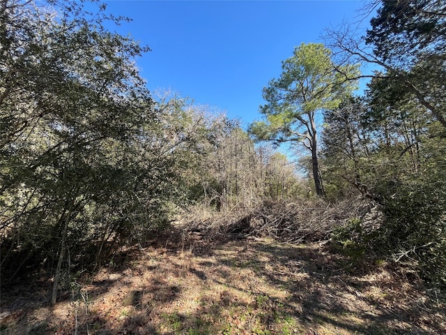 Listing photo 2 for TBD Dunbar Rd, Mcdade TX 78650